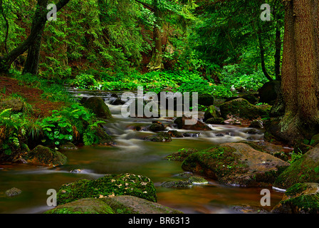 Ein Gebirgsbach laufen zwischen mossed Steinen hinab ins Tal. Stockfoto