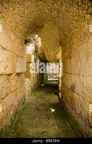 Flur / Diele, die das Amphitheater an der zerstörten römischen Stadt Italica Kreise / Italica in der Nähe von Sevilla, Spanien. Stockfoto