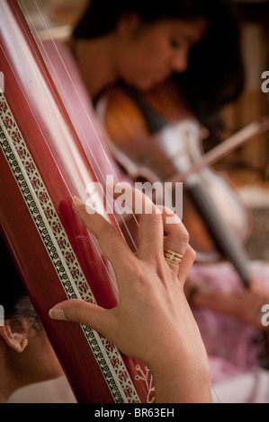 Tambura-Hindustani (nördlich Inder) klassische Musik Stockfoto