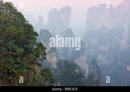Berggipfel, Zhangjiajie National Forest Park, Wulingyuan Scenic Area, Provinz Hunan, China Stockfoto