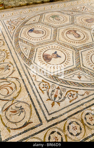 Mosaischen Etage im Haus des Planetariums in der Casa del Planetario römischen Stadt Italica / Italica in der Nähe von Sevilla, Spanien. Stockfoto