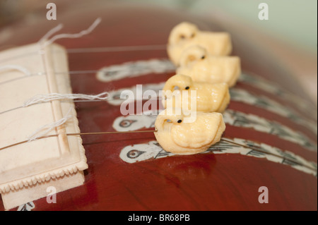 Tambura-Hindustani (nördlich Inder) klassische Musik Stockfoto