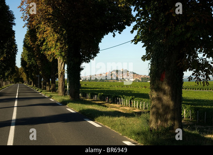 Blick von Nordosten entlang der Route de Bourges (D955) in Richtung der mittelalterlichen Hügel Dorf von Sancerre, Frankreich Stockfoto