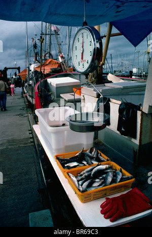 Steveston, BC, Britisch-Kolumbien, Kanada - Fisch zum Verkauf auf kommerziellen Fischerboot verankert am Markt Stockfoto