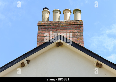 Mehlschwalbe Verschachtelung Kolonie auf der Giebelseite eines Hauses Stockfoto