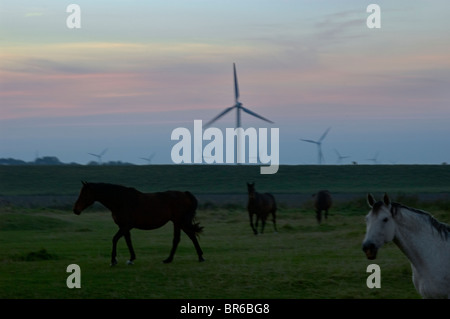 Deutschen Windpark auf küstennahen Ackerland Stockfoto