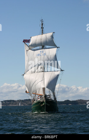 Asgard II, der große Schiffe Rennen 2008, Bergen Stockfoto