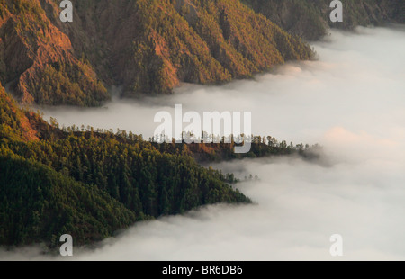 Wolken wirken wie Meer in die Caldera de Taburiente auf der Insel La Palma (Kanarische Inseln, Spanien) Stockfoto