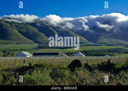 Wolken schweben auf den Hügeln oberhalb einer Farm am Western Cape, Südafrika Stockfoto