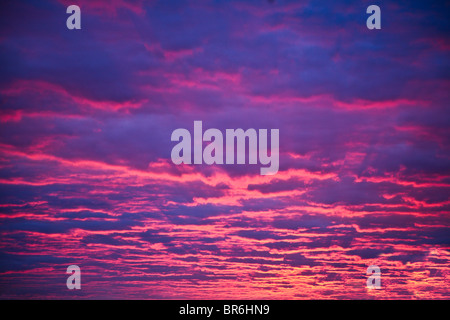 Heller, farbenfroher Sonnenaufgangshimmel mit Wolken, stürmischer Himmel, pantone-Rosenquarz Stockfoto