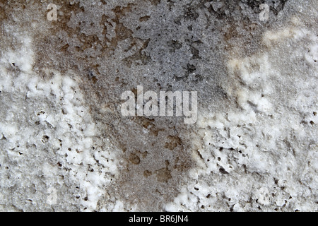 Salz Makro Detail Textur in Salinen-Meer-Wasser-Verdampfung Stockfoto