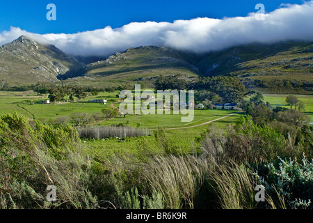Wolken schweben Sie auf den Hügeln oberhalb von einem Bauernhof am Western Cape, Südafrika Stockfoto