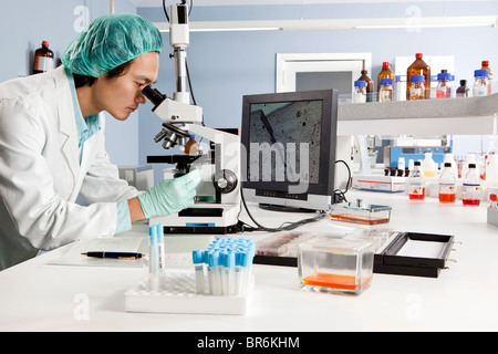 Ein Blick in ein Mikroskop im Labor Laborant Stockfoto