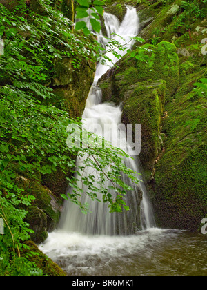 Stockghyll Force Wasserfall im Sommer in der Nähe von Ambleside Cumbria Lake District National Park England Vereinigtes Königreich GB Großbritannien Stockfoto