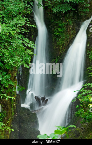 Stockghyll Force Wasserfall Wasserfälle im Sommer in der Nähe von Ambleside Cumbria Lake District National Park England Vereinigtes Königreich GB Großbritannien Stockfoto