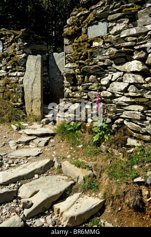 Kissing Tor in trockenen Steinmauer neben Pfad Fußweg gesetzt Spaziergang in der Nähe von Loughrigg Fell Cumbria Lake District National Park England Vereinigtes Königreich Großbritannien Stockfoto