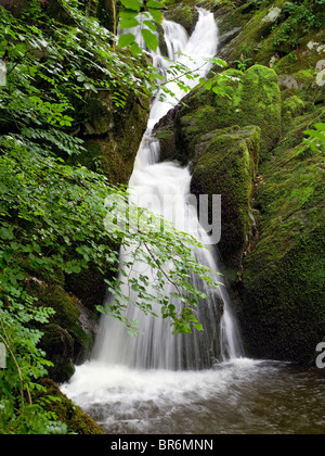 Stockghyll Force Wasserfall in der Nähe von Ambleside im Sommer Cumbria Lake District National Park England Vereinigtes Königreich GB Großbritannien Stockfoto