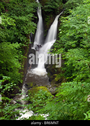 Stockghyll Force Wasserfall in der Nähe von Ambleside im Sommer Cumbria Lake District National Park England Vereinigtes Königreich GB Großbritannien Stockfoto