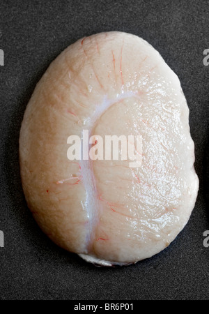 Lambs Testicle - ein Beispiel für das seltsame oder seltsame Essen, das von Menschen auf der ganzen Welt gegessen wird Stockfoto