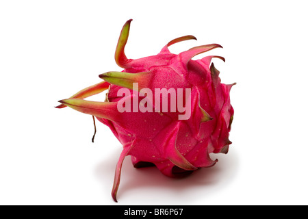 Pitaya oder Pitahaya, bekannt allgemein als Drachenfrucht. Diese leckere exotische tropische Frucht kann rotes oder weißes Fleisch haben. Stockfoto