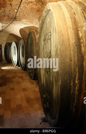 Narodny Salon vin - der historische Weinkeller in Pezinok, wo die besten 100 slowakische Weine eines jeden Jahres angezeigt werden, Slowakei. Stockfoto