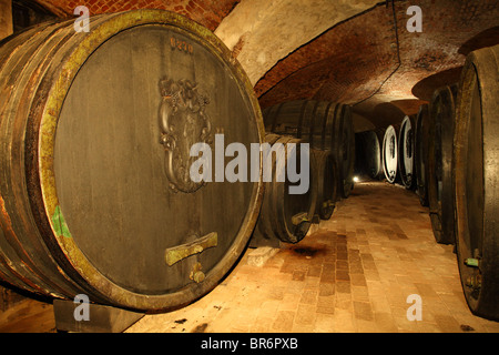 Narodny Salon vin - der historische Weinkeller in Pezinok, wo die besten 100 slowakische Weine eines jeden Jahres angezeigt werden, Slowakei. Stockfoto