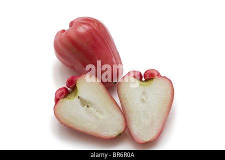 Wachs Apfel, Syzygium Samarangense, leckere exotische Südfrüchte Stockfoto