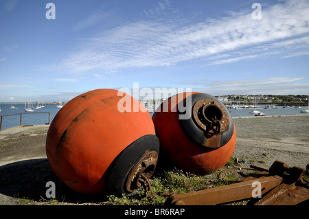 Holyhead Bootshafen Anglesey North Wales UK Stockfoto