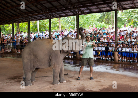 Einheimische und Touristen beobachten Elefanten in das Pinnawela-Elefantenwaisenhaus Stockfoto