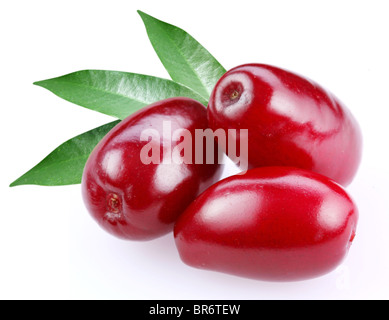 Drei Cornels isoliert auf einem weißen Hintergrund. Stockfoto