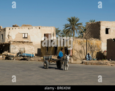 Eselskarren in der Oase Siwa in Ägypten Stockfoto
