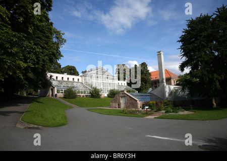 Botanischen Garten der Universität am Tøyen in Oslo. Stockfoto