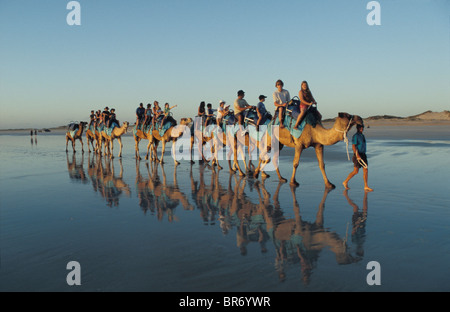 Touristen auf einem Kamel reiten entlang Cable Beach bei Sonnenuntergang, Broome, Western Australia Stockfoto