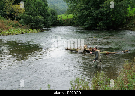 Fliegenfischen Sie auf Bachforelle und Äsche auf dem Fluss Dove, Peak District NP, Derbyshire, UK, September Stockfoto