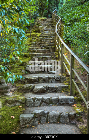 Zen-Stein Weg im japanischen Garten von nassen Sommertag Stockfoto