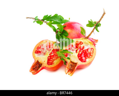 Rote Granatäpfel isoliert auf weißem Hintergrund Stockfoto
