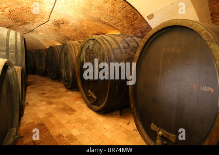 Narodny Salon vin - der historische Weinkeller in Pezinok, wo die besten 100 slowakische Weine eines jeden Jahres angezeigt werden, Slowakei. Stockfoto