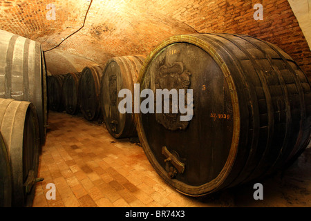 Narodny Salon vin - der historische Weinkeller in Pezinok, wo die besten 100 slowakische Weine eines jeden Jahres angezeigt werden, Slowakei. Stockfoto