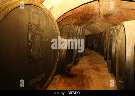 Narodny Salon vin - der historische Weinkeller in Pezinok, wo die besten 100 slowakische Weine eines jeden Jahres angezeigt werden, Slowakei. Stockfoto