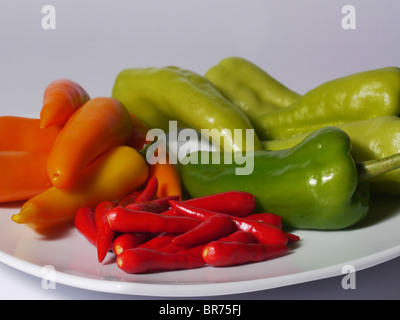 Rot, orange und grüne Chilischoten aus Thailand auf einem weißen Teller. Stockfoto