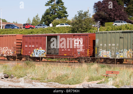 Kanadische nationale CN Boxcar auf Güterzug in Edmonds, Washington State, USA Stockfoto