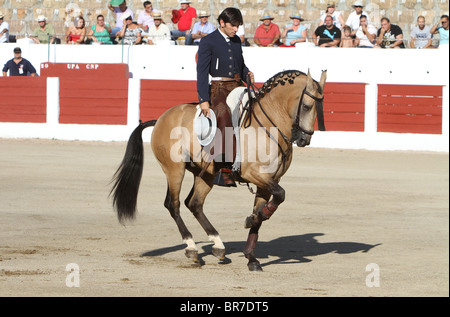 Stierkämpfer zu Pferd, Spanien Stockfoto