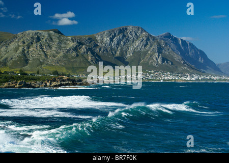 Gansbaai und Walker Bay, Western Cape, Südafrika Stockfoto