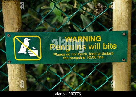 Warnschild, Boulders Beach, Simons Town, Kap-Halbinsel, Südafrika Stockfoto