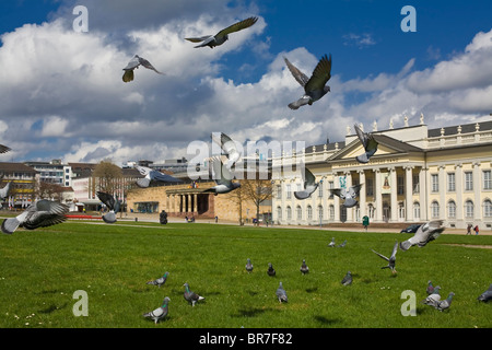 Fliegende Tauben in der Nähe von Fridericianum am Friedrichsplatz, Kassel, Deutschland Stockfoto