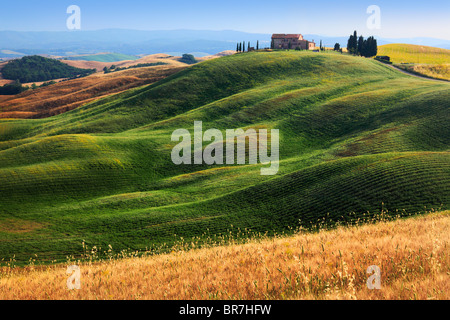 Villa Hügel in der Nähe von Asciano im Zentrum der Toskana, Italien Stockfoto