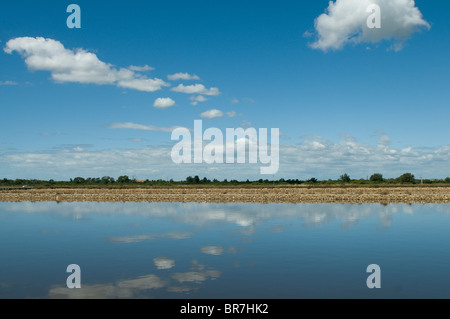 Salin de Giraud, Provence-Alpes-Cote d'Azur, Frankreich Stockfoto