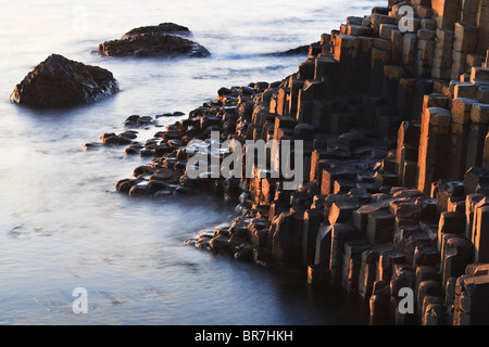 Der markante sechseckigen Spalten der Giant es Causeway an der Nordküste County Antrim, Nordirland Stockfoto