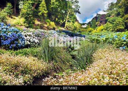 Trebah Garden; Cornwall; Suche entlang des Gartens auf das Haus Stockfoto