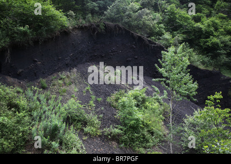 Esche schwarz Boden in Volcanic Zone Nationalpark in der Nähe von Olot in La Alta Garrotxa Comarca Girona Provinz Katalonien Spanien Stockfoto